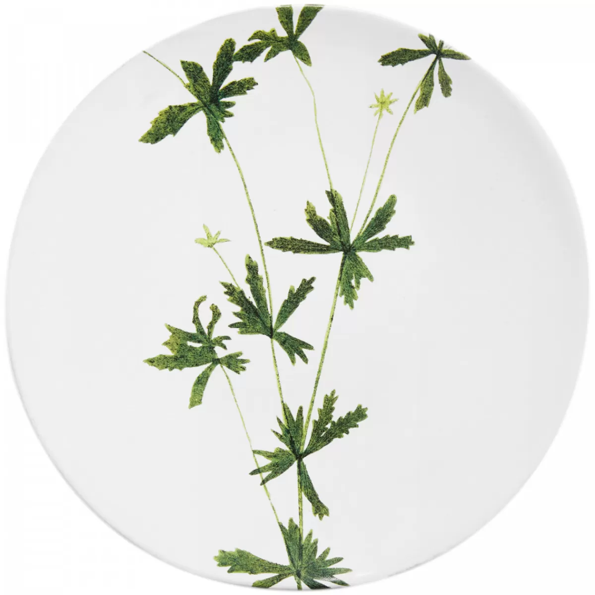 Astier de Villatte Assiettes>Assiette Tormentilla