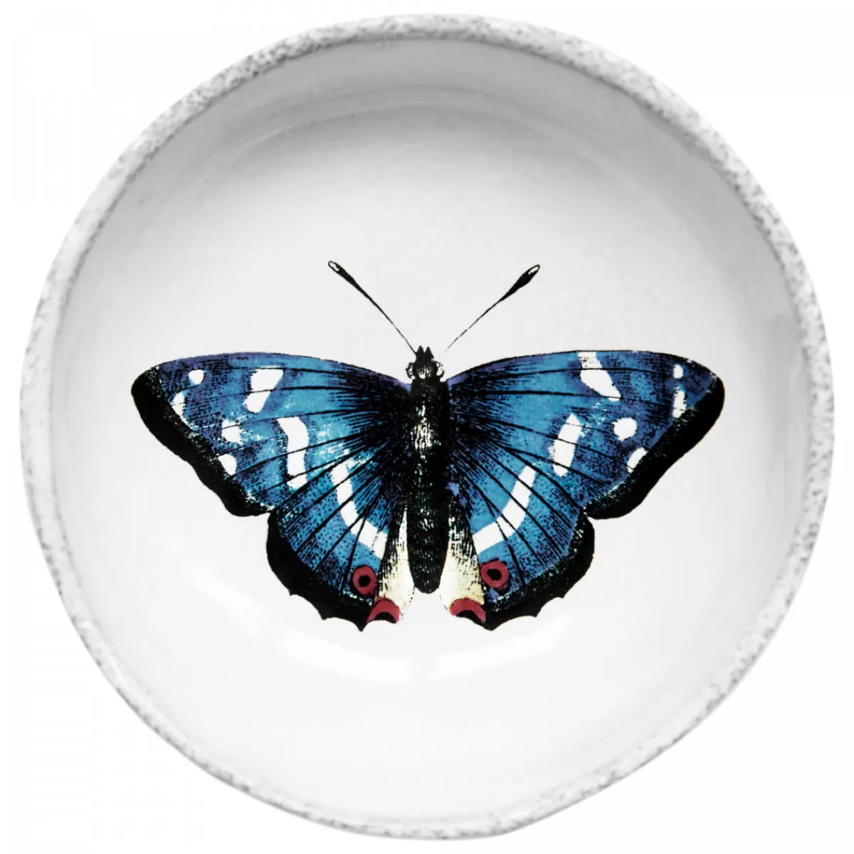 Astier de Villatte Coupelles>Coupelle Papillon Bleu