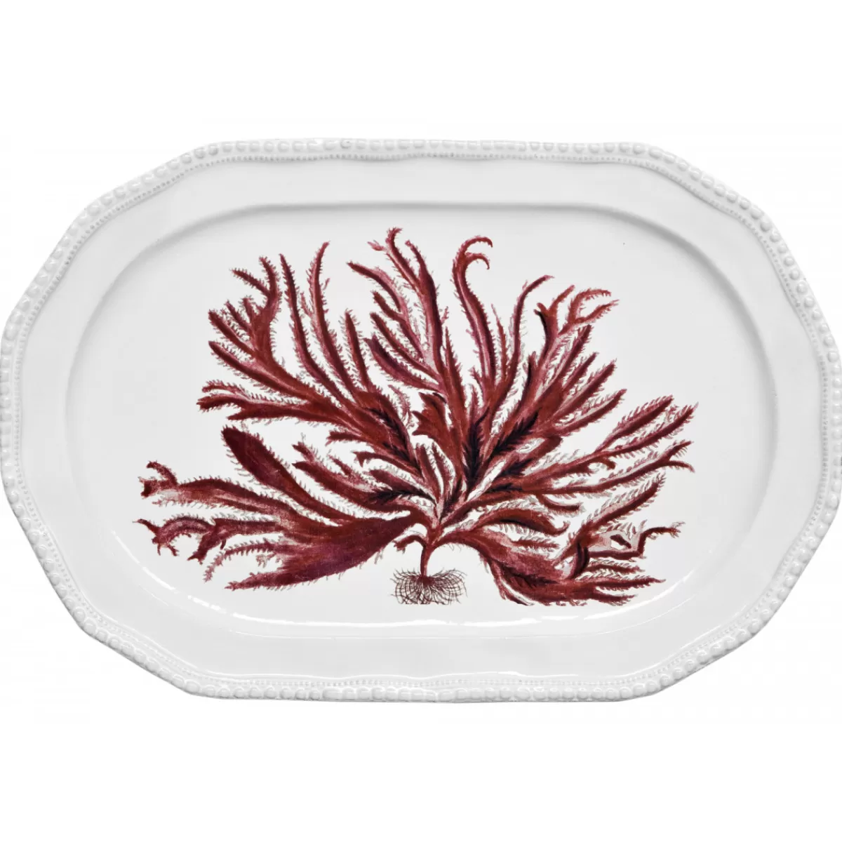 Astier de Villatte Plats, Saladiers & Coupes>Plat Algue Rouge